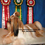 Khentzu Kennel