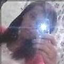 yasmim  lopes alves